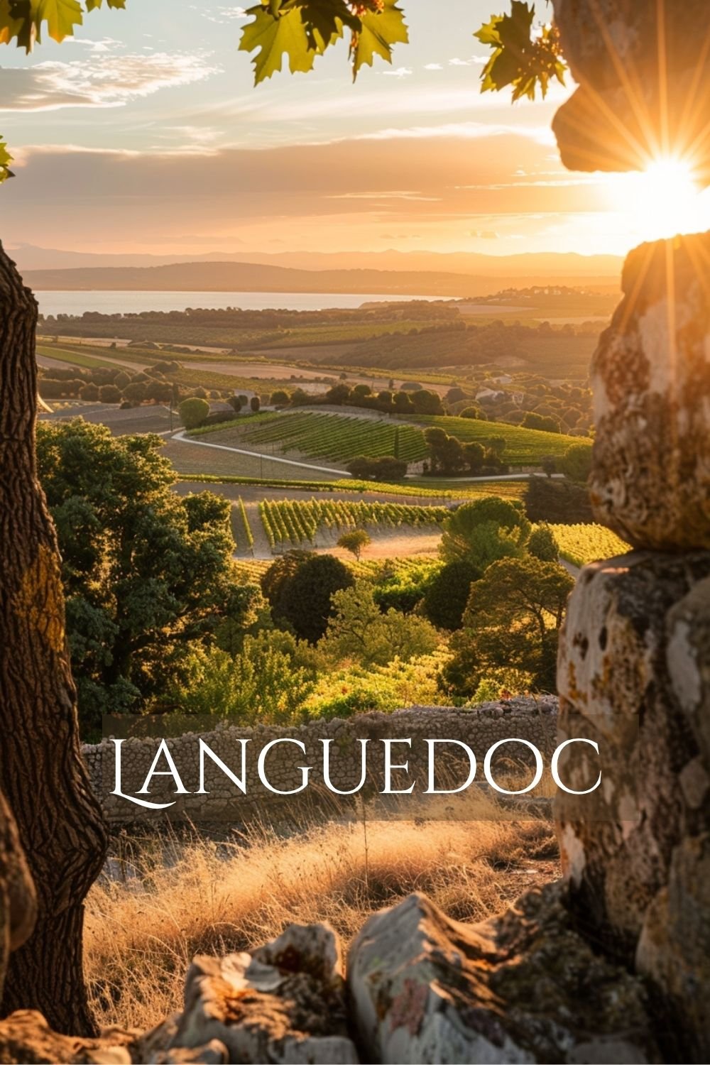 Languedoc Occitanie